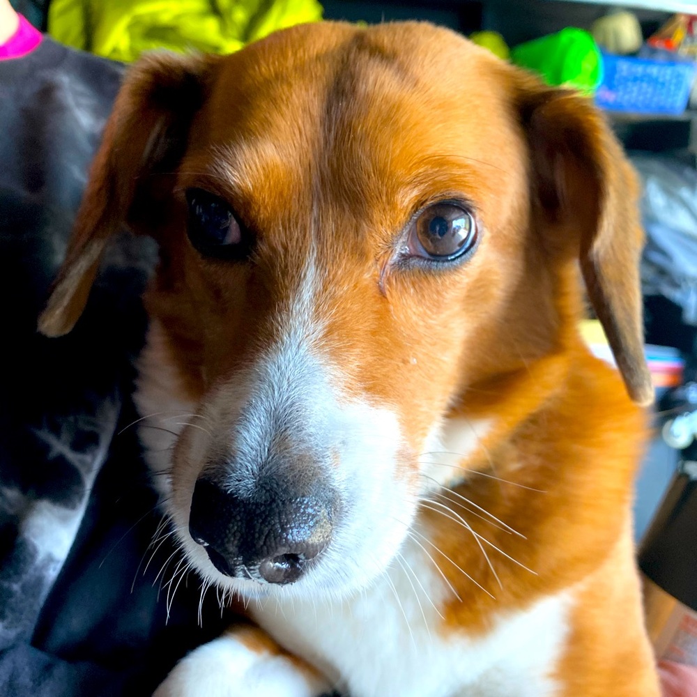 Meet your Posher, Krista